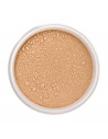 Lily Lolo Mineral Base En Polvos Spf15 Coffee Bean Mini 1un