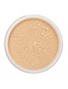 Lily Lolo Mineral Base En Polvos Spf15 Warm Honey Mini 1un