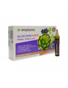 Arkopharma Arkofluido Artichaut Forte 20 Ampoules