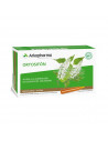 Arkopharma Arkofluido Ortosifon 20 Ampoules