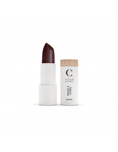 Couleur Caramel Rouge A Levres Barra De Labios 240 Stolen Kiss 1un