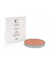 Couleur Caramel Terre Polvos Compactos N25 Hale Mat Recarga 1un