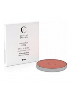 Couleur Caramel Caramel Colorete N52 Rose Recarga 1un