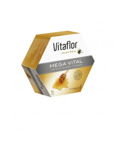 Vitaflor Mega Vitale 20 Fioles 200ml