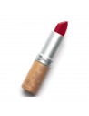 Couleur Caramel Rouge À Levres Mat 120 Rouge Sombre