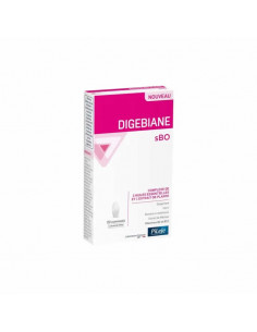 Pileje Digebiane sBO 20 Comprimés