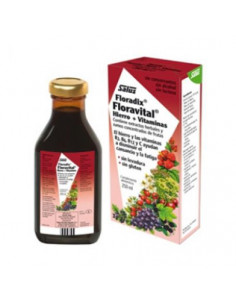 Salus Floradix Floravital 250ml