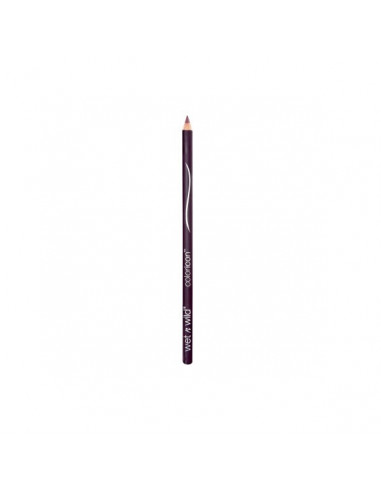 Wet N Wild Crayon À Lèvres Color Icon E715 Plumberry