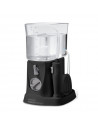 Waterpik Hydropulseur Traveler WP300 Noir