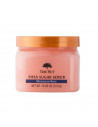 Tree Hut Shea Sugar Scrub Moroccan Rose 510g