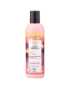 Natura Siberica Shampooing Naturel Reparation et Protection 270ml