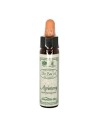 Santiveri Bach Aigremoine 10ml