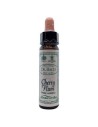 Santiveri Prune Cerise 10ml