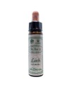 Santiveri Bach Larch 10ml