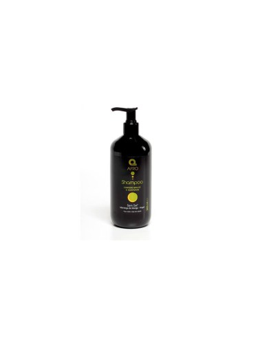 Dermo Afro Champu Mango-Argan 500ml Dermo Afro Champu Mango-Argan 500ml