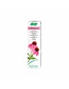 Vogel Crema Equinacea 35g