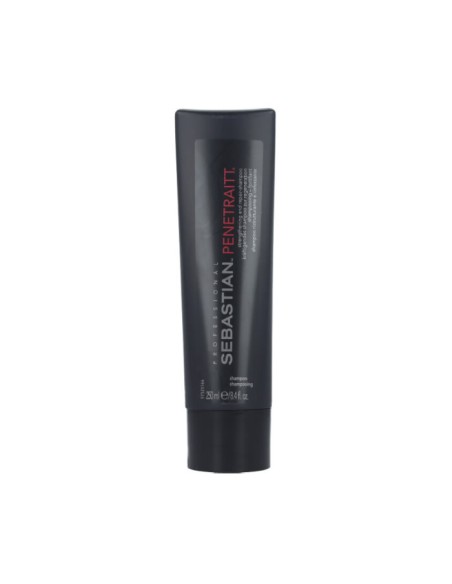 Sebastian Penetraitt Shampooing Réparateur 250ml