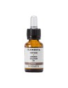 Bioearth Elementa Concentrado Cafeina Ginseng 15ml
