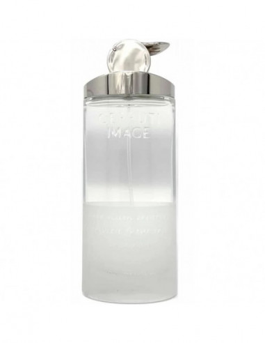 Cerruti Image Eau De Toilette Vaporisateur 75ml