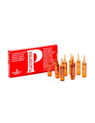 Système Antichute Placentrix 10 Ampères Système Antichute Placentrix 10 Ampères