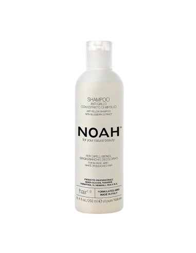 Noah Anti-Amarillo Arandanos Champu 250ml Noah Anti-Amarillo Arandanos Champu 250ml