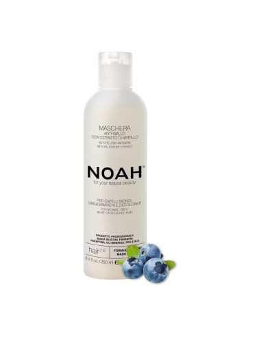 Noah Arandanos Anti-Amarillo Mascarilla Capilar 250ml Noah Arandanos Anti-Amarillo Mascarilla Capilar 250ml