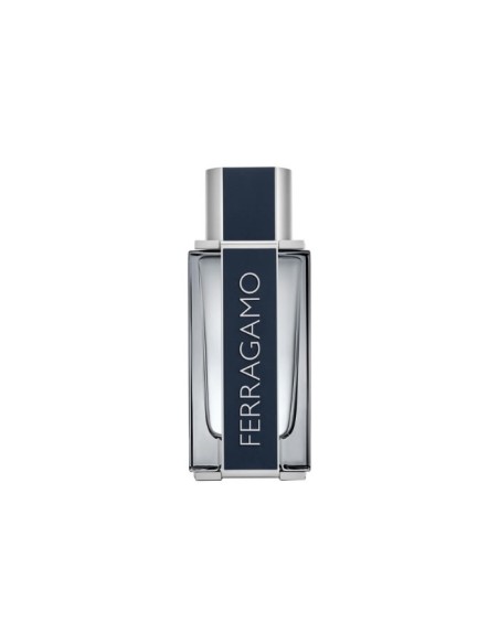 SF Ferragamo Eau De Toilette Vaporisateur 100ml