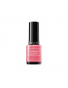 Revlon Colorstay Gel Envy 110 Lady Luck