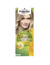 Schwarzkopf Palette Naturals Color Creme 8.1 Frosted Light Blonde
