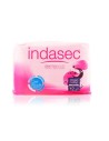 Indasec Dermoseda Good Night Incontinence Compress Maxi 12 Unités