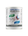 Santiveri Artrosin Collagen Powder 275G
