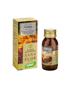 Santiveri Ginkgo Biloba Plante Comprimés