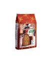 Santiveri Dextrin Pain traditionnel Sachet de 300g