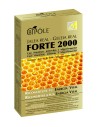 Intersa Bipole Jalea Forte 2000 20 Amp