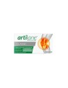 Pharmadiet Master Diet Artilane Pro 15 Flacons