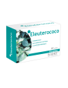 Eladiet Eleuterococo Fitotablet 60 Comp