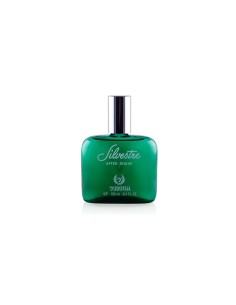 Victor Silvestre Lotion Après Rasage 100ml