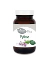 Granero S Pylbac 60 Perlas
