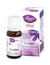 Granero Aceite Esencial De Eucalipto Bio 12ml