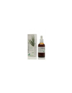 Soria Natural Horsetail Extract SXXI 50ml
