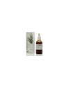 Soria Natural Horsetail Extract SXXI 50ml