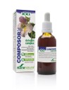 Soria Composor 20 Harpa S Xxi 50ml