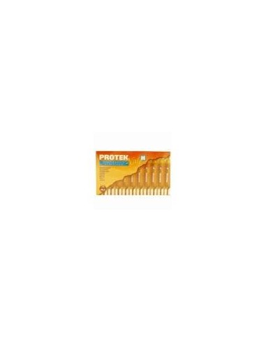 Proteknale 20 Amp