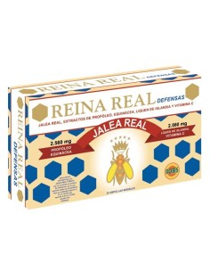 Robis Reina Real Defensas 20 Amp