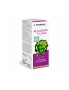 Arkopharma Arkofluido Artichaut Mix Detox 280ml