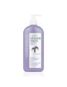 Clearé Institute Shampooing Violet 400ml