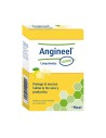 Heel Angineel Citron 24 Comprimés