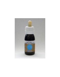 Bellsola Aceite Chiapas 60ml