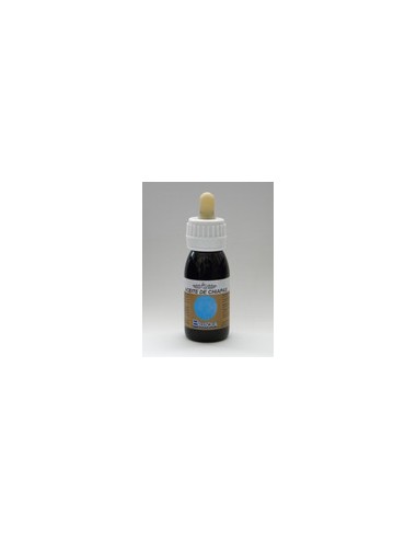 Bellsola Aceite Chiapas 60ml Bellsola Aceite Chiapas 60ml
