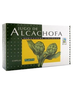 Artesania Alcachofa Eco Plantis 20 Amp